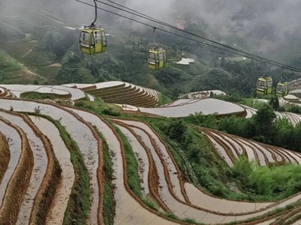 Longji Rice Terraces with the Dazhai Cable Car Private Day Tour